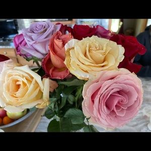 Meet your Posher, Tracey